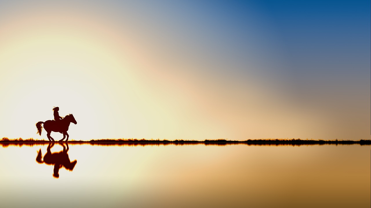 Horse photo: water sunset rider