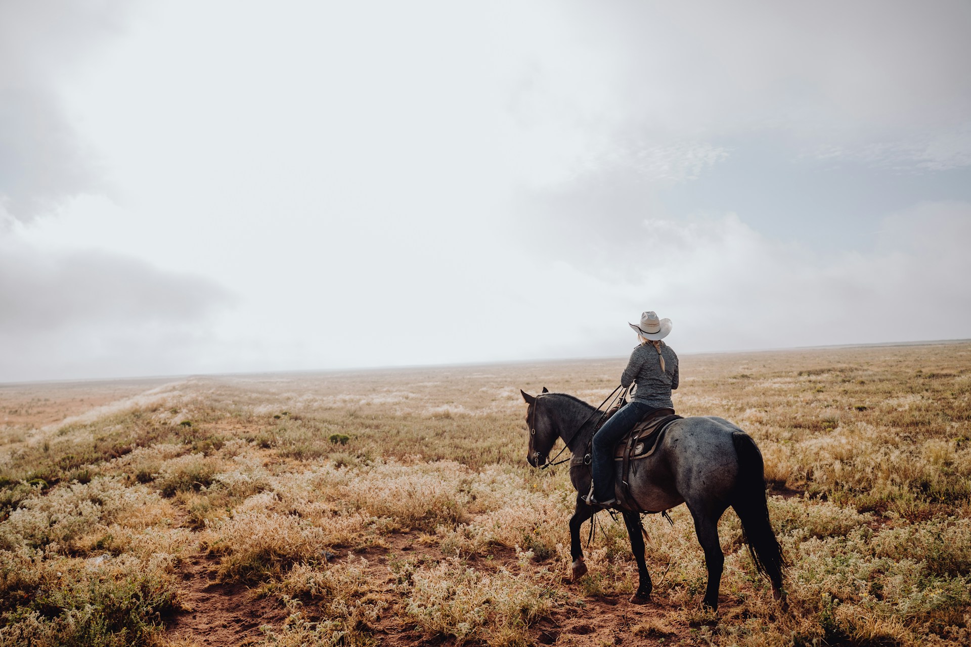 Horse photo: desert rider