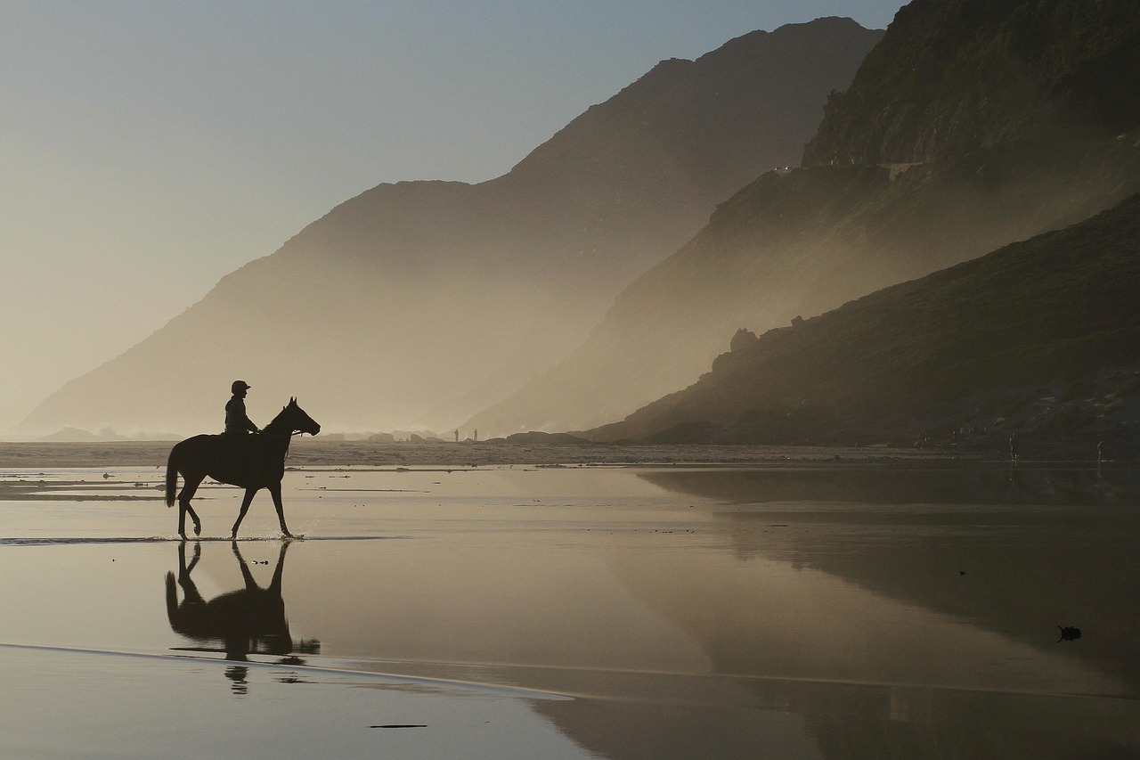 Horse photo: mountains lagoon sea