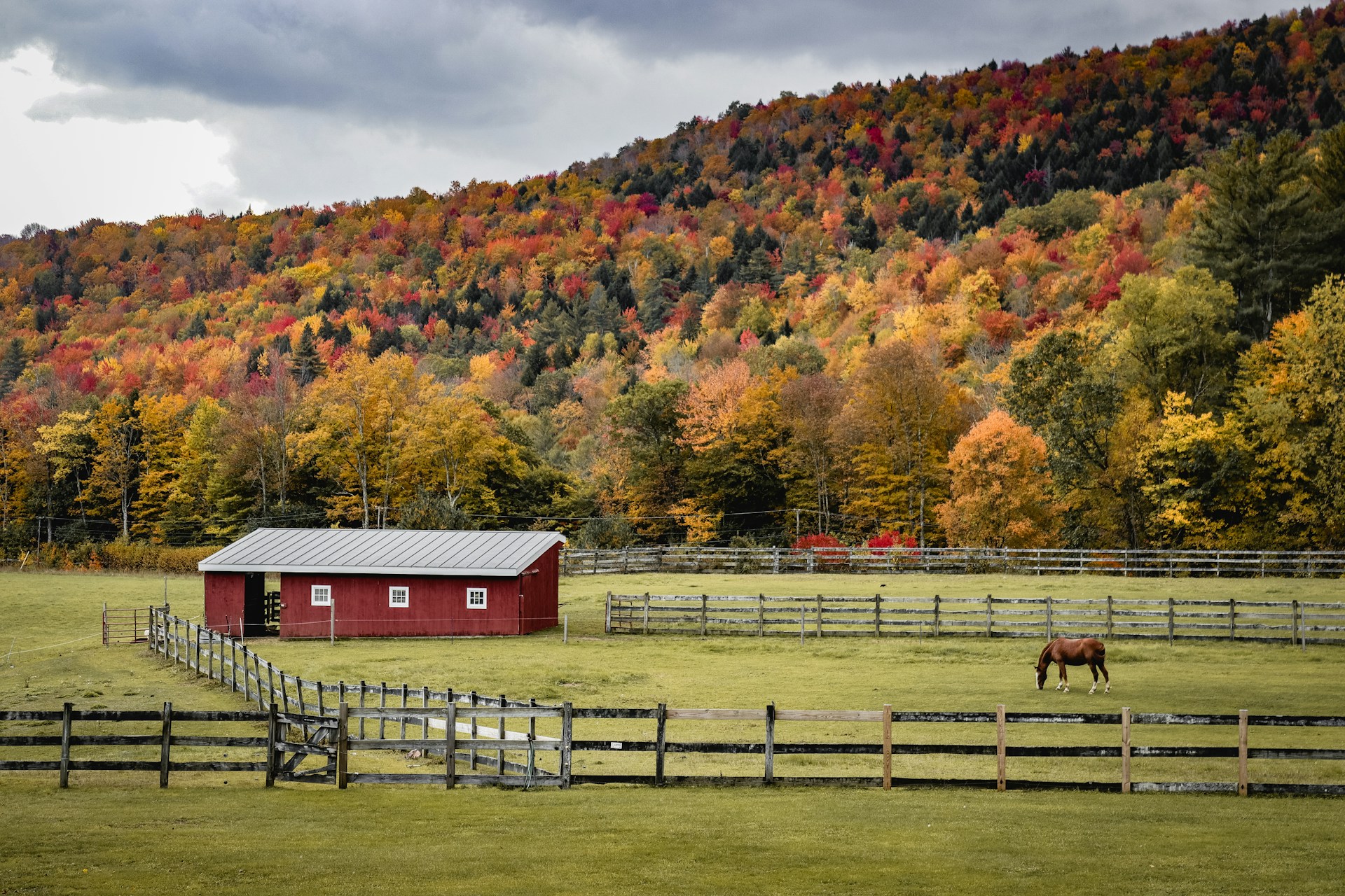 Horse photo: autumn fenced pasture