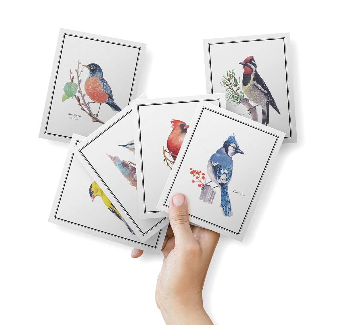 Another view of the Birds of America Thank You Cards