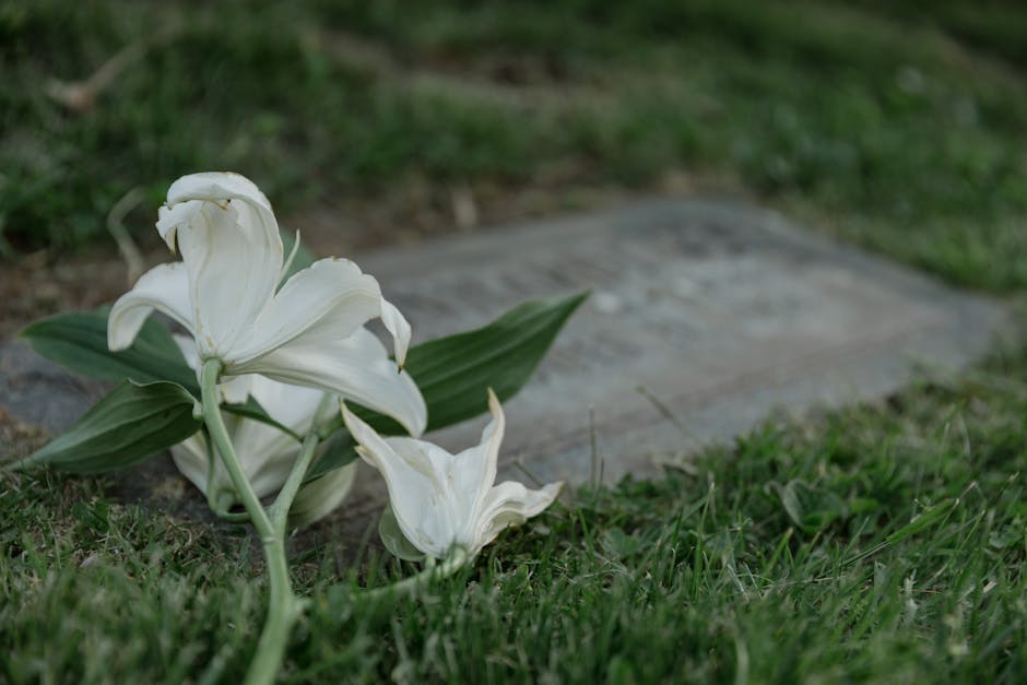 White lilies resting on a grave marker in the grass
