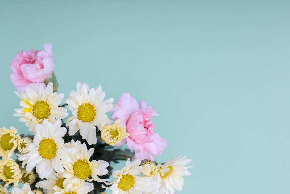 Pink carnations and white daisies on a pale blue background