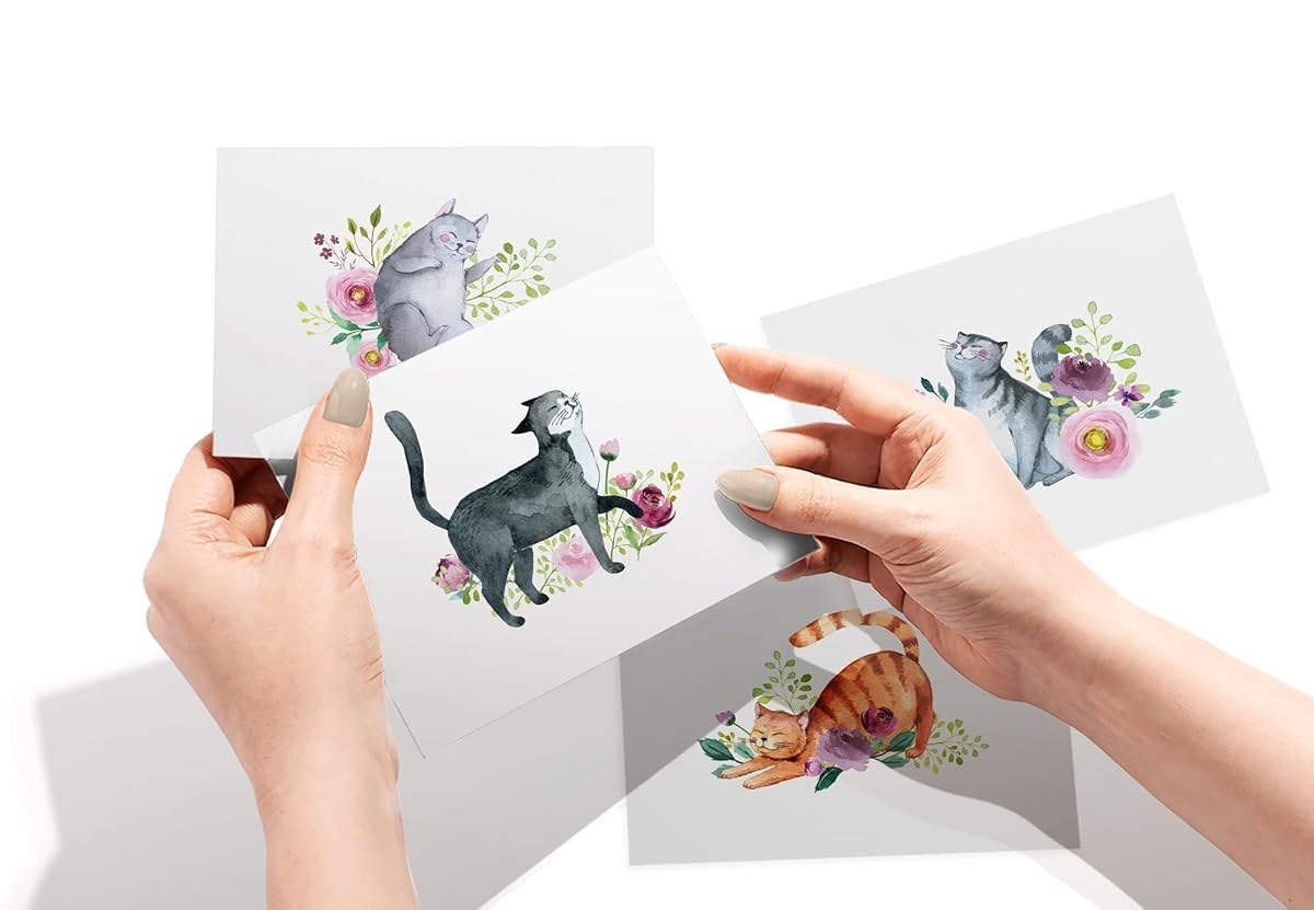 Another view of the Playful Cats Watercolor Cards