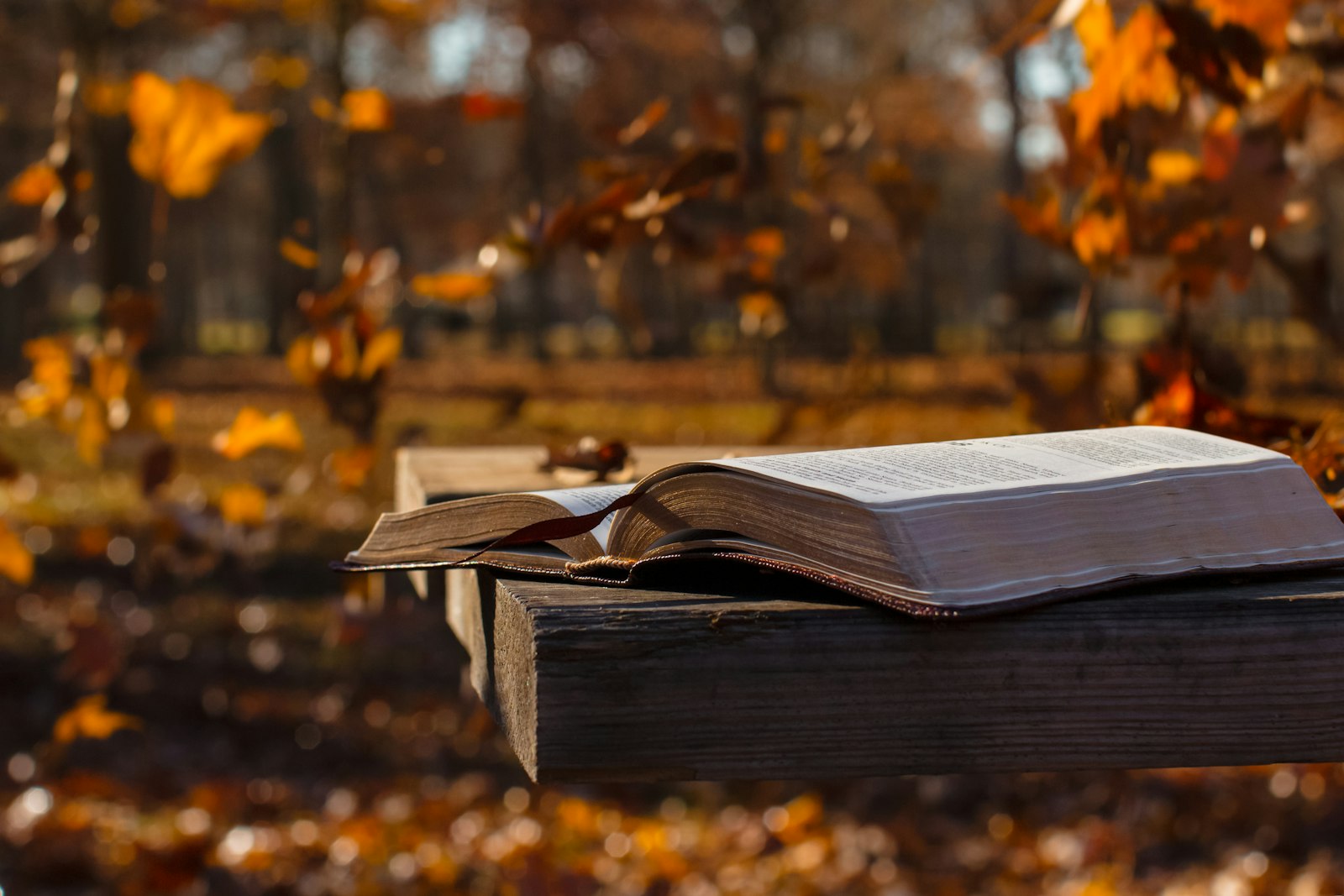 An open Bible on a wooden rail with autumn leaves behind it
