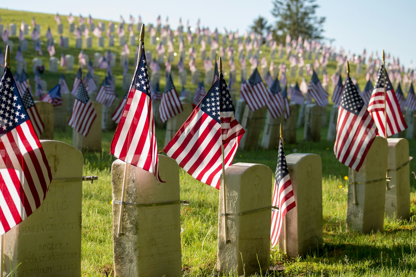 American flags on headstones at a national cemetery