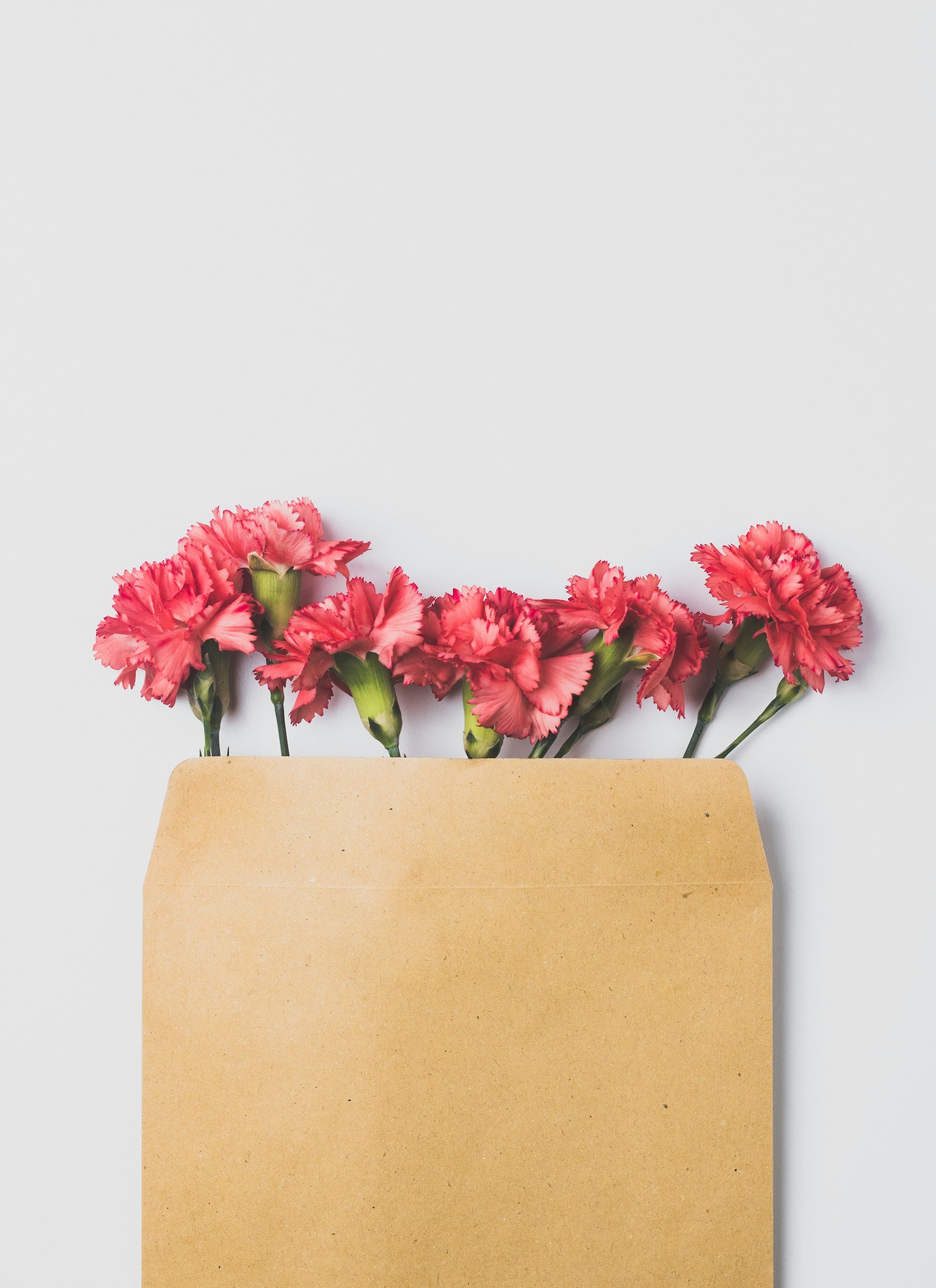 Pink carnations tucked into a brown paper envelope