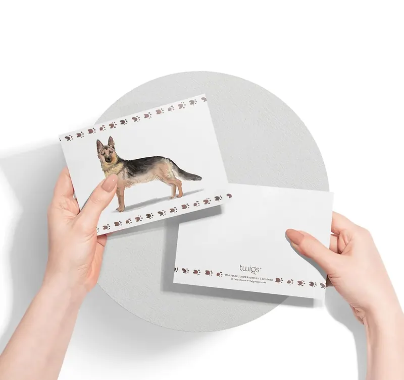 Another view of the German Shepherd Dog Note Cards