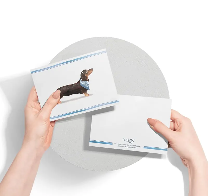 Another view of the Dachshund Dog Note Cards