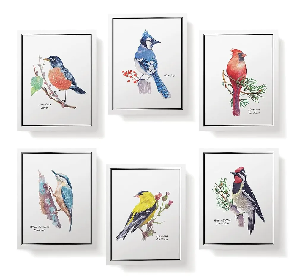Birds of America Thank You Cards