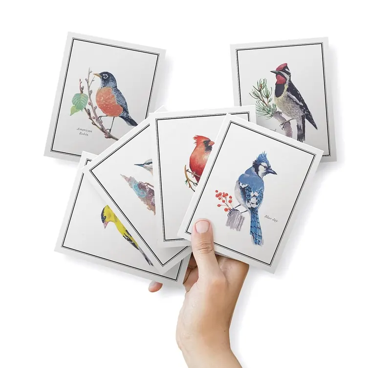 Another view of the Birds of America Thank You Cards