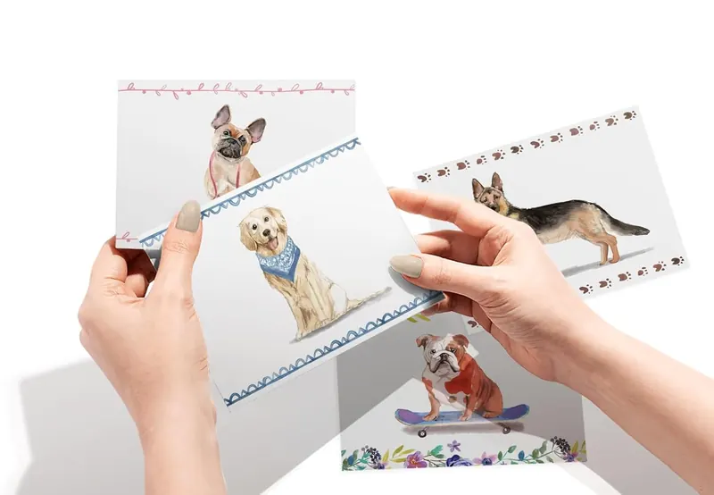 Another view of the Assorted Dogs Thank You Cards