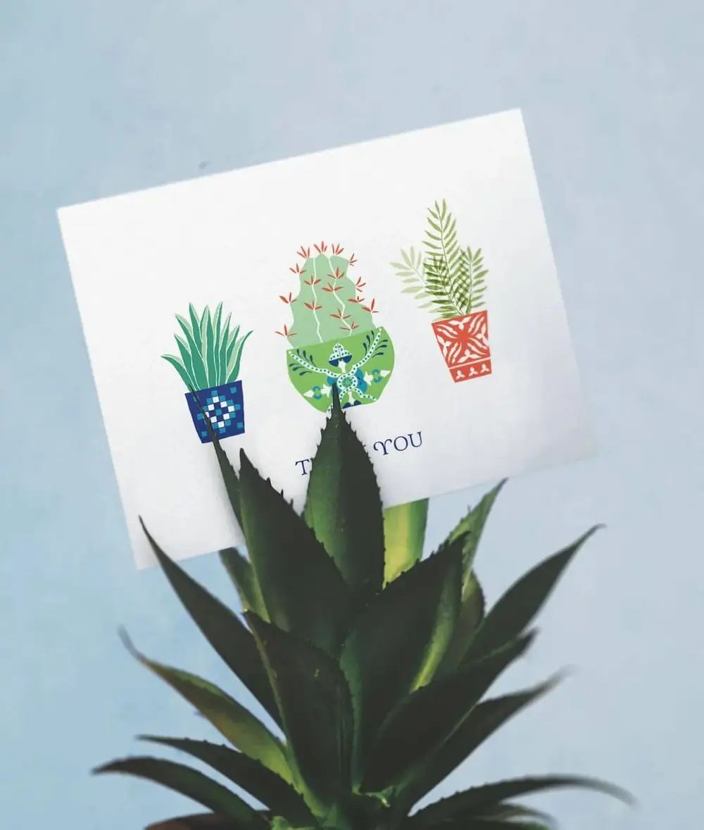 A thank you card with succulents on the front