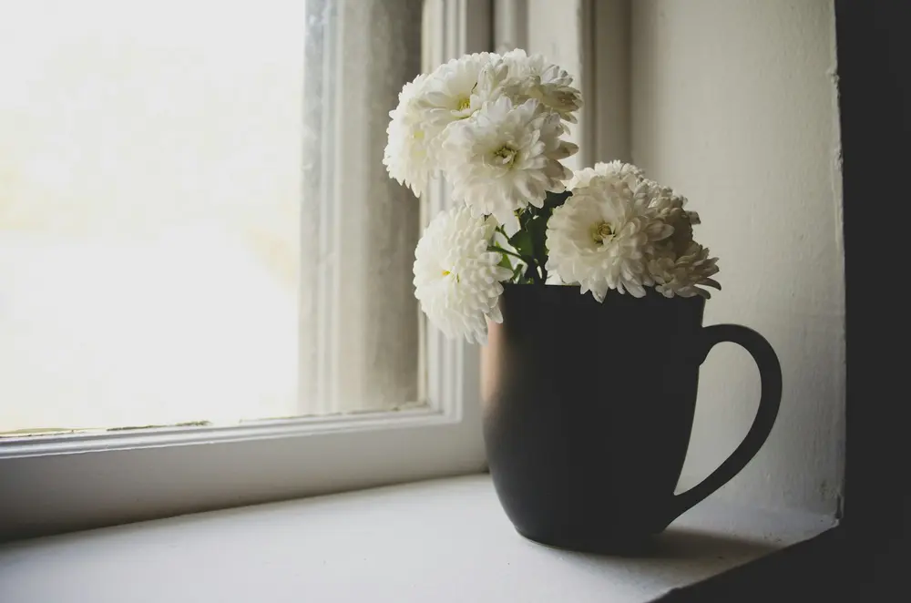 White flowers in a dark mug on a sunlit windowsill