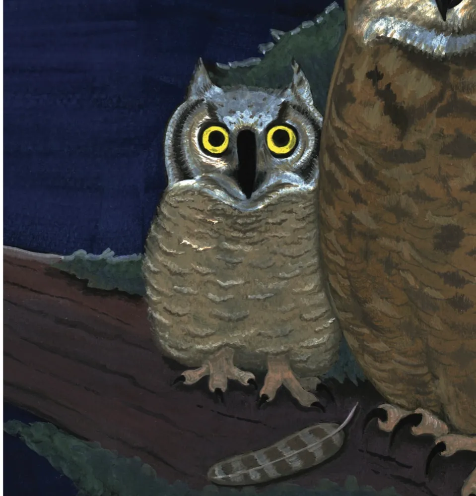 A young great horned owl with bright yellow eyes perched on a branch beside its parent at night.