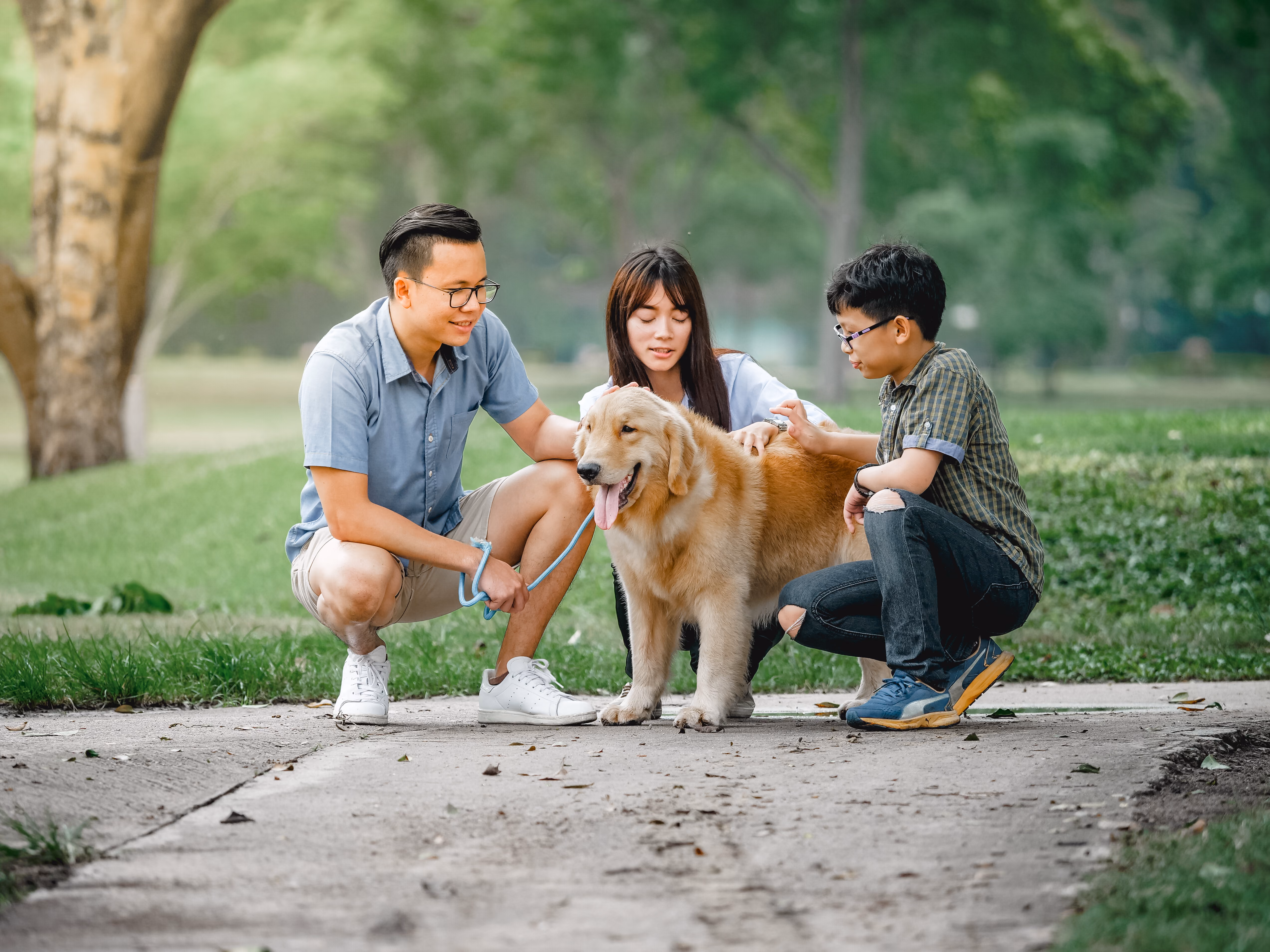People with dog outside stock image