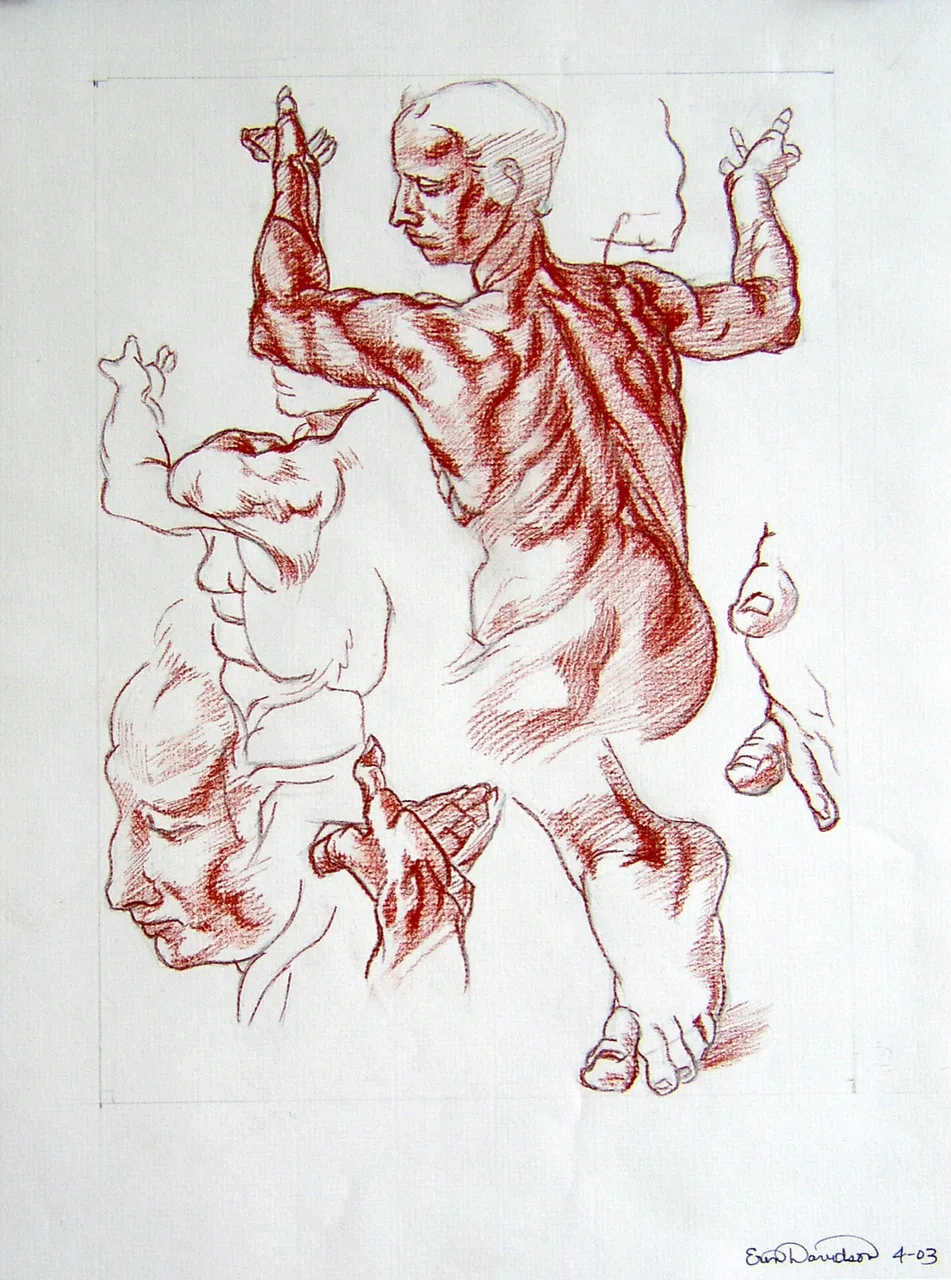 Anatomical study sketch showing a muscular male back, head profile, hand gestures, and foot, drawn with red pencil on white paper.