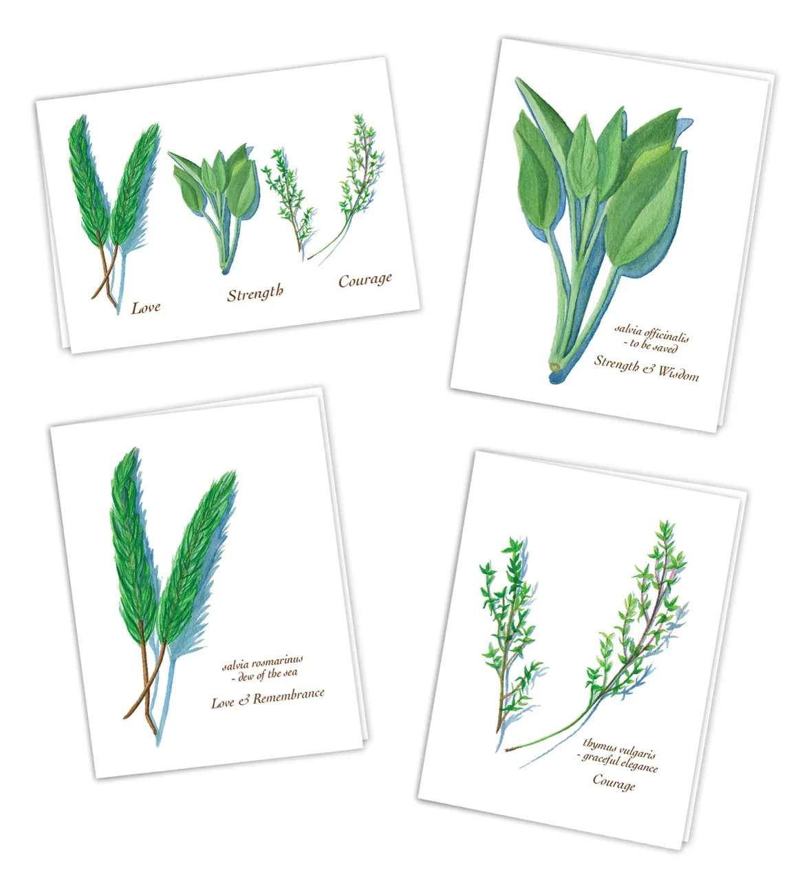 Watercolor illustrations of herbs: two rosemary sprigs labeled 'Love & Remembrance', sage labeled 'Strength & Wisdom', and thyme labeled 'Courage', with a card combining all three labeled Love, Strength, and Courage.