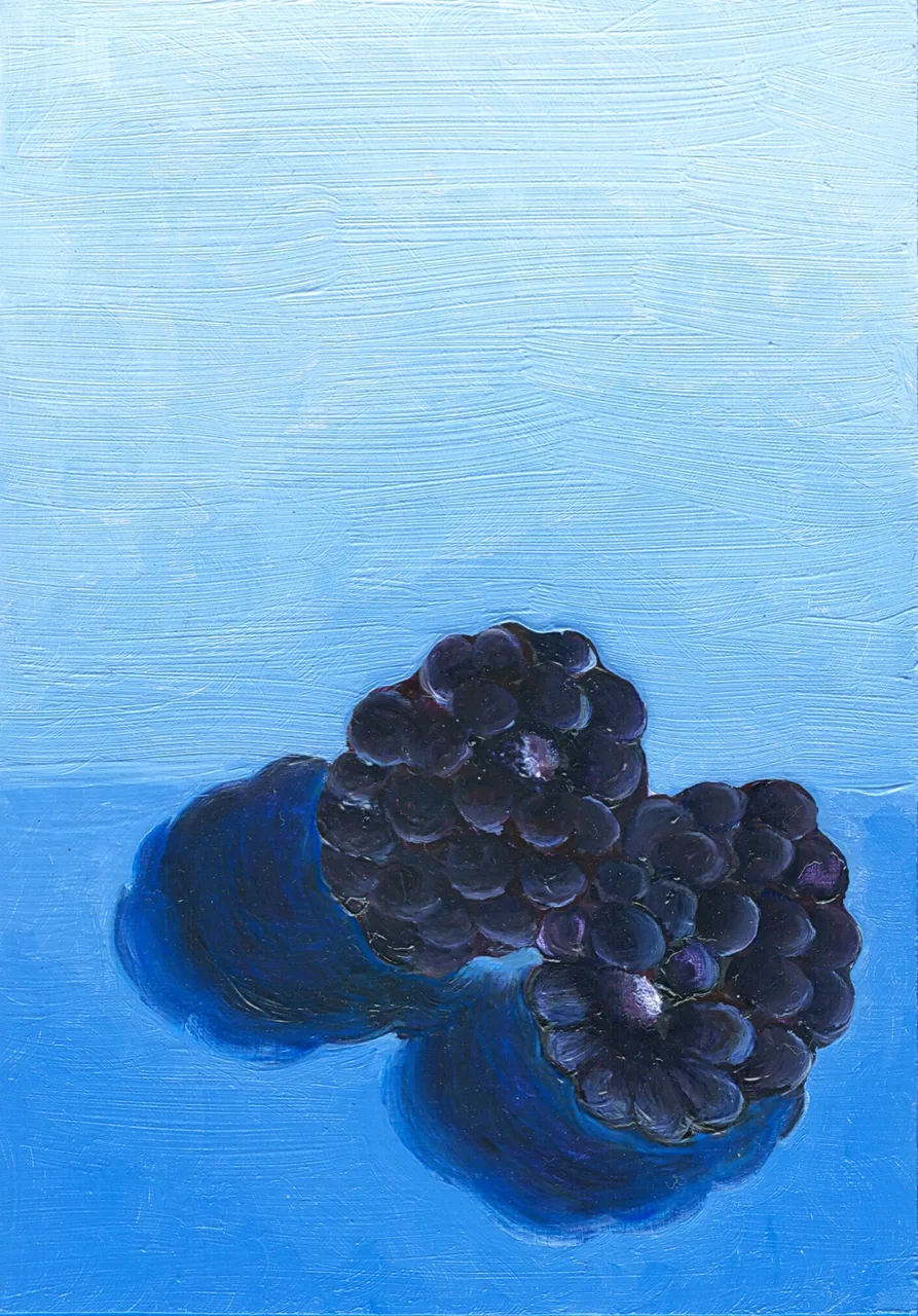 Close-up painting of two blackberries casting shadows on a blue textured surface.
