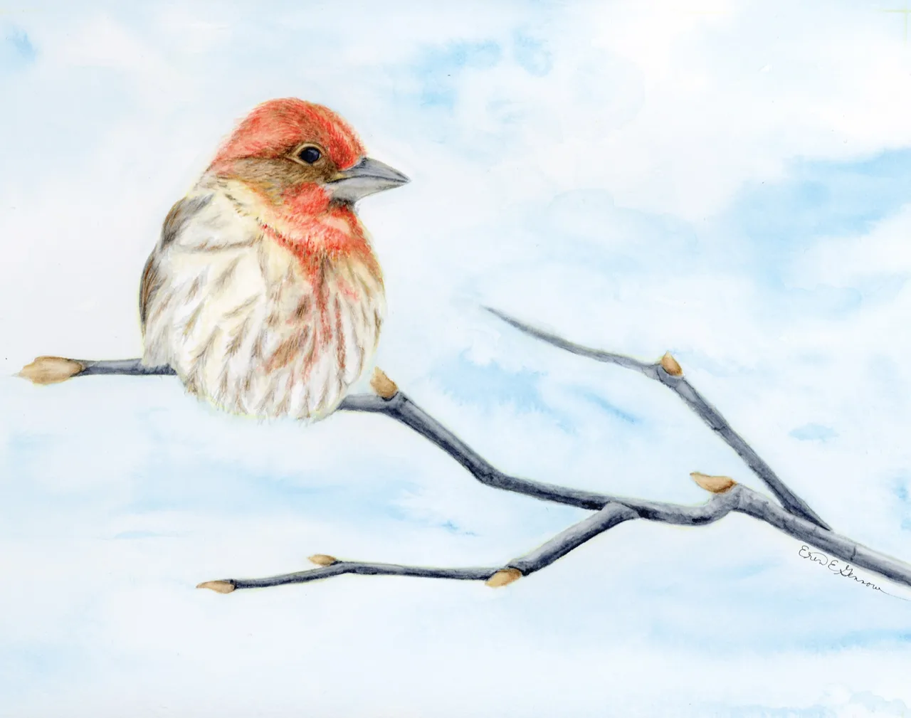 Watercolor painting of a small bird with red head and chest perched on a bare branch against a light blue sky.