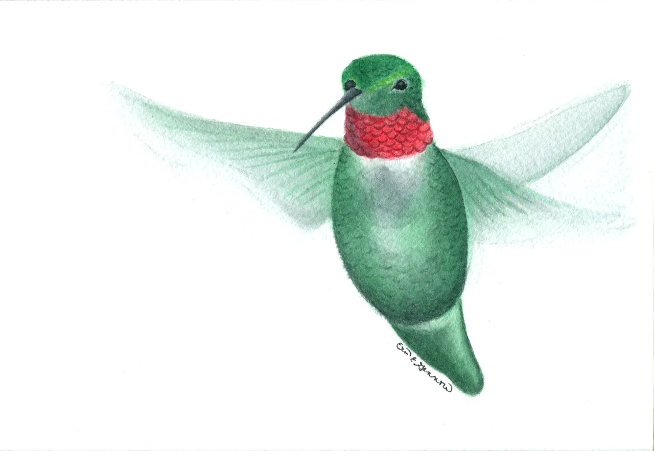 Watercolor painting of a green hummingbird with a red throat and long beak in mid-flight on a white background.