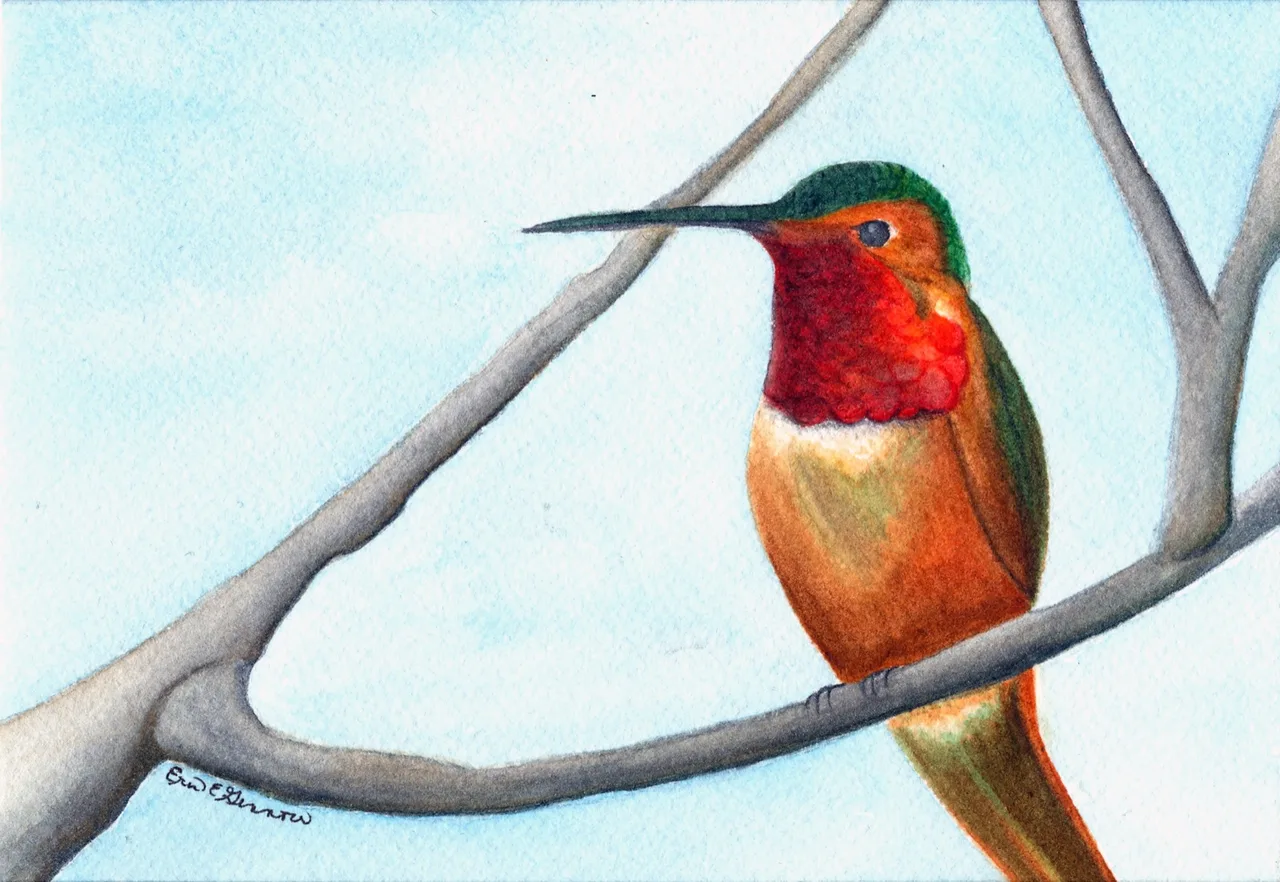 Watercolor painting of a Rufous hummingbird with bright orange, red, and green feathers perched on a branch against a pale blue sky.