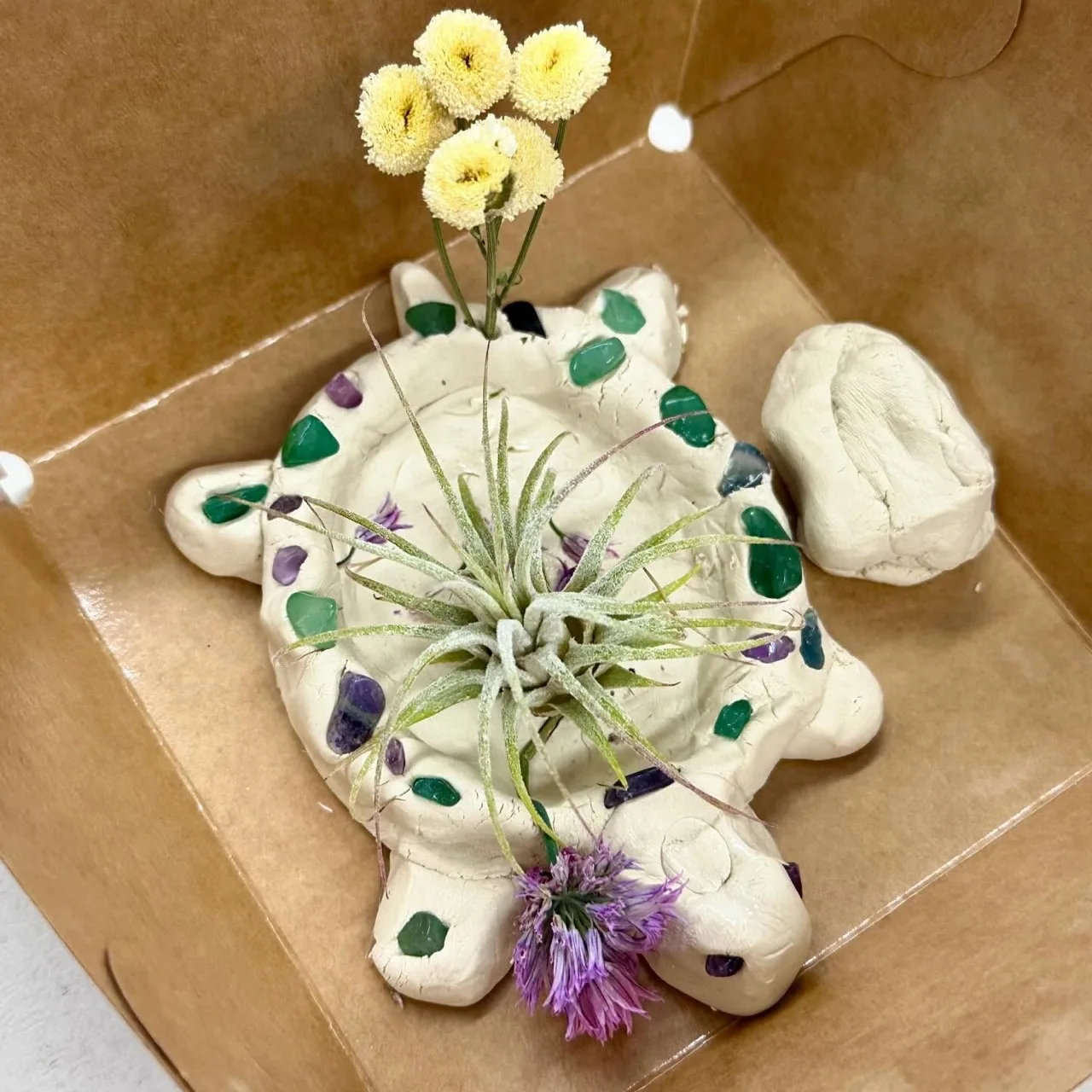 A clay turtle terrarium decorated with gemstone chips and topped with a living air plant.