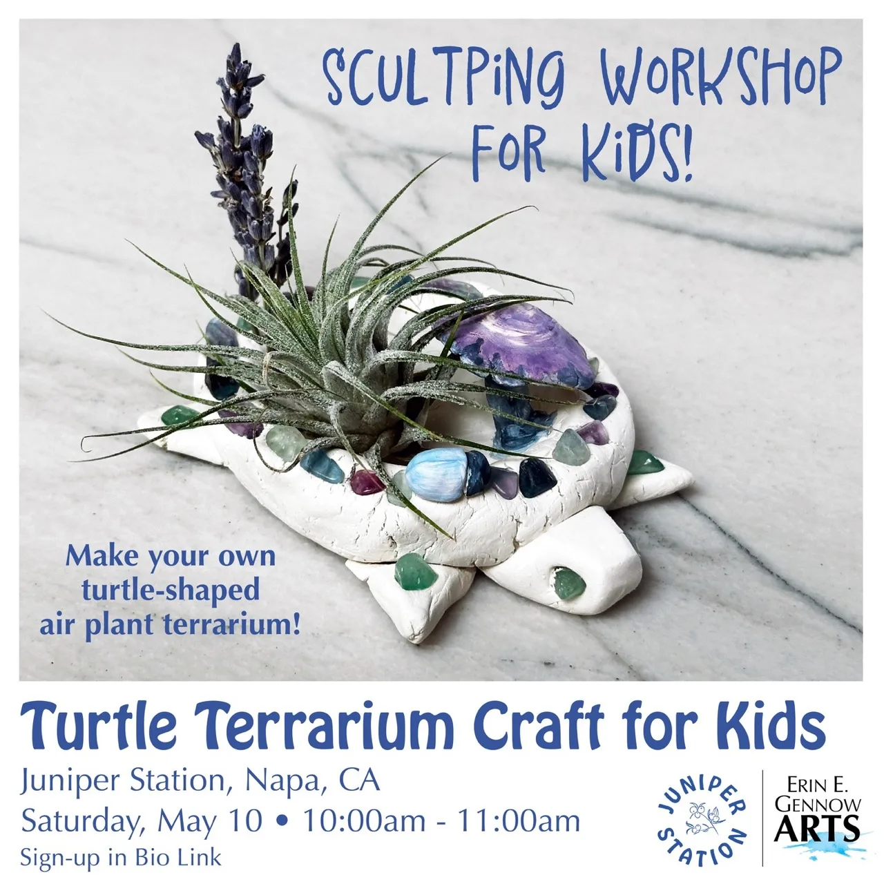 Turtle Terrarium Craft for Kids flyer from Juniper Station.