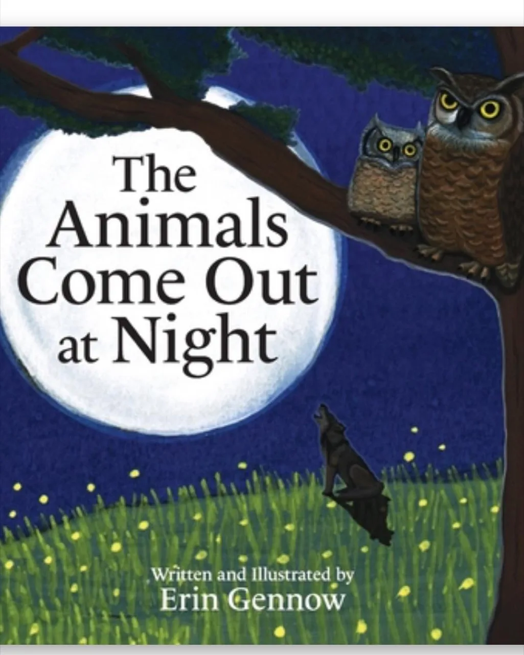 Cover of The Animals Come Out at Night, with a skunk, an owl, and a full moon.