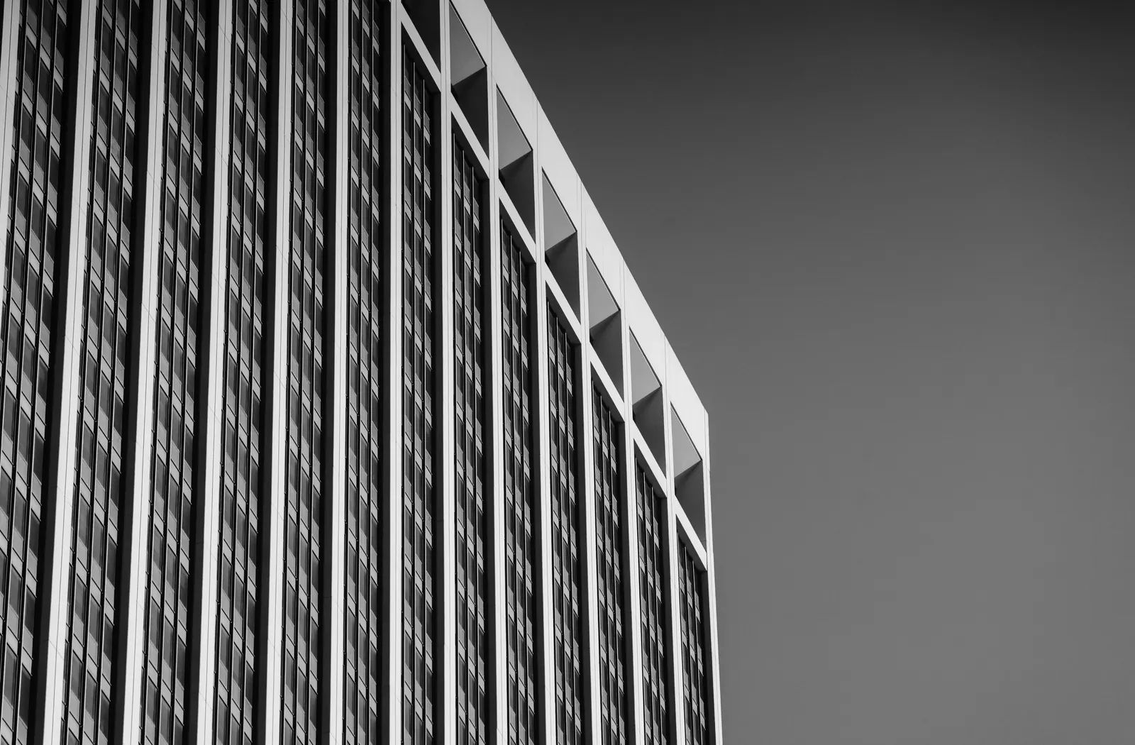 Architectural façade and structural lines