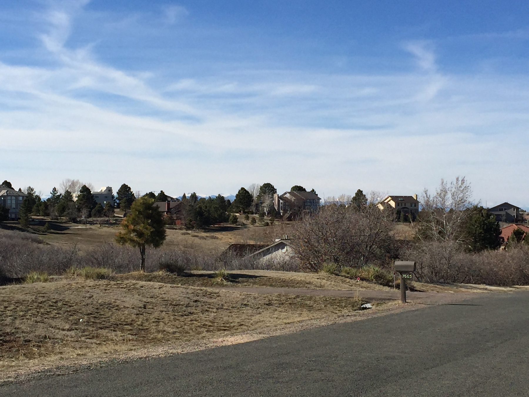 A Charter Oaks street lined with scrub oak and pines