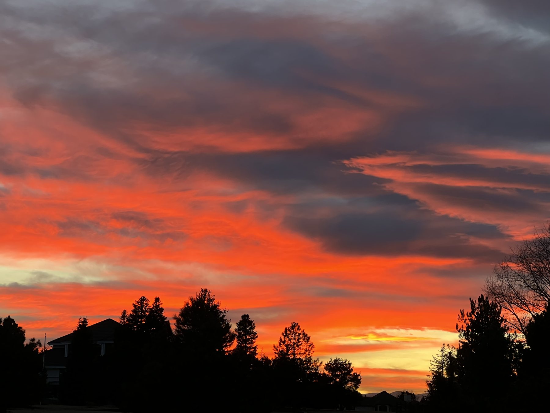 A fiery orange sunset over the pines