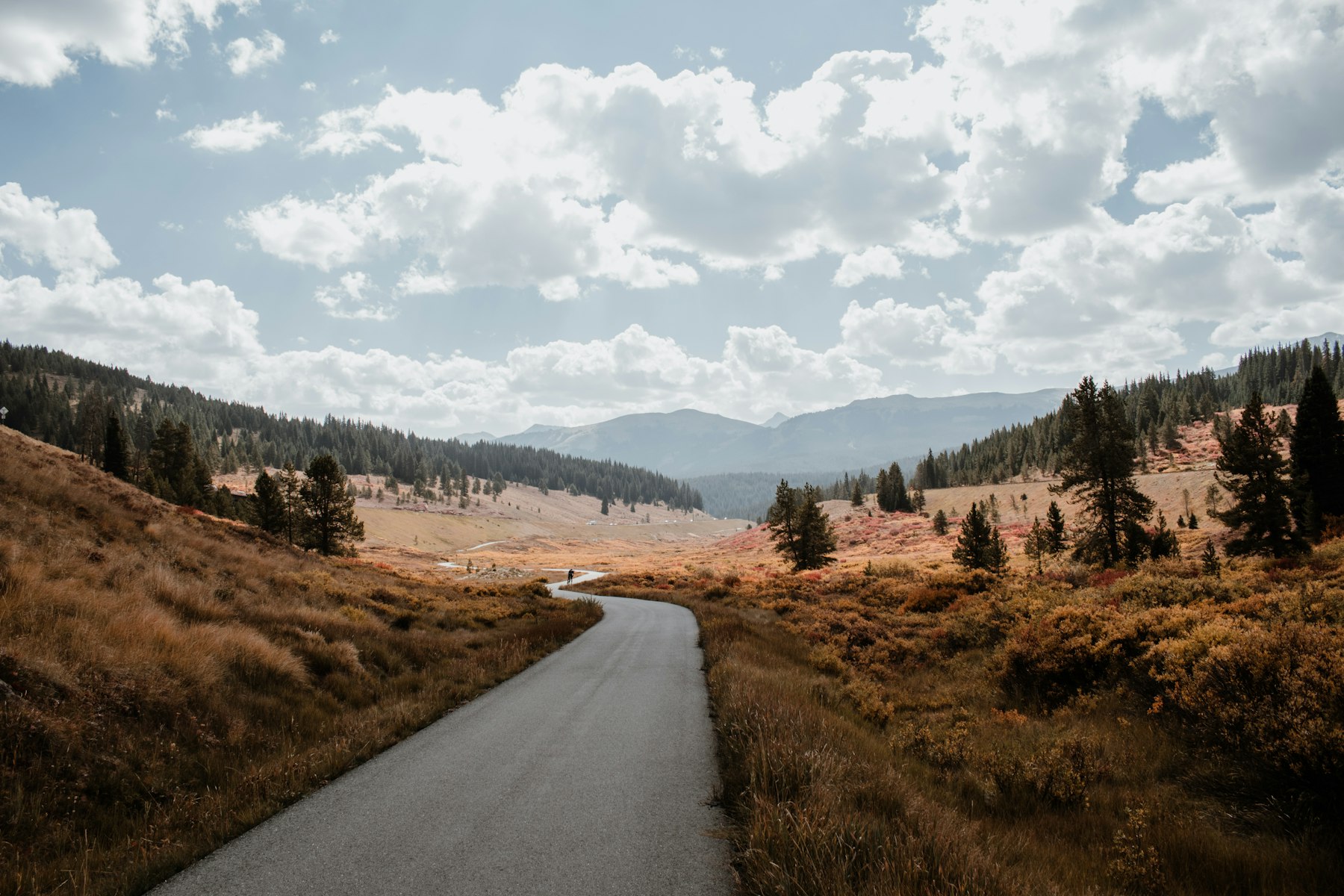 Cyclist riding an autumn trail in Colorado