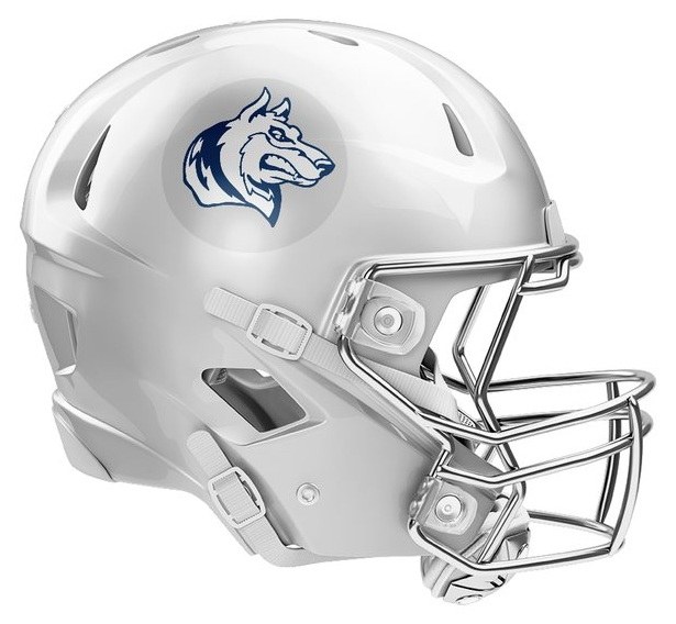 Helmet Decals — catalog reference 1194