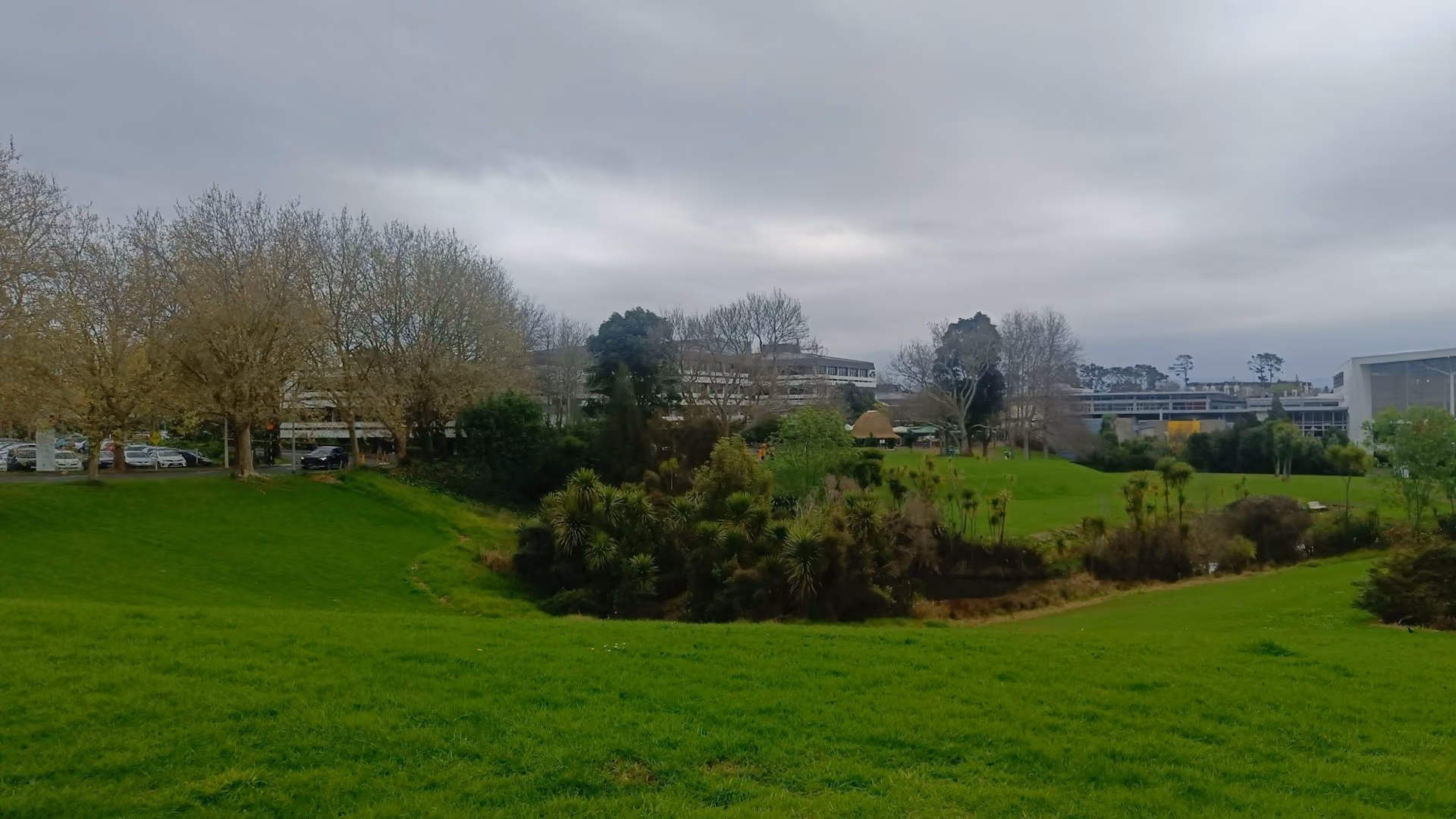Green park with houses beyond in Mount Albert, Auckland