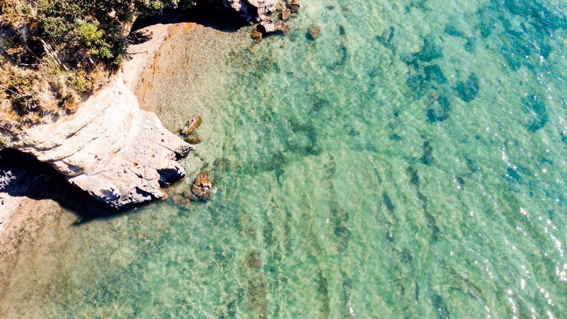 Rocky shoreline and clear water on the Whangaparaoa Peninsula, Auckland