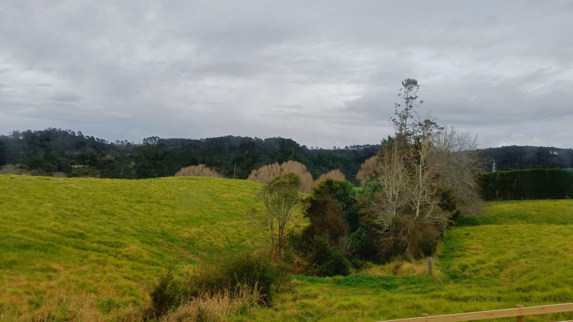 Green paddocks and trees on a cloudy day in Kumeū, Auckland