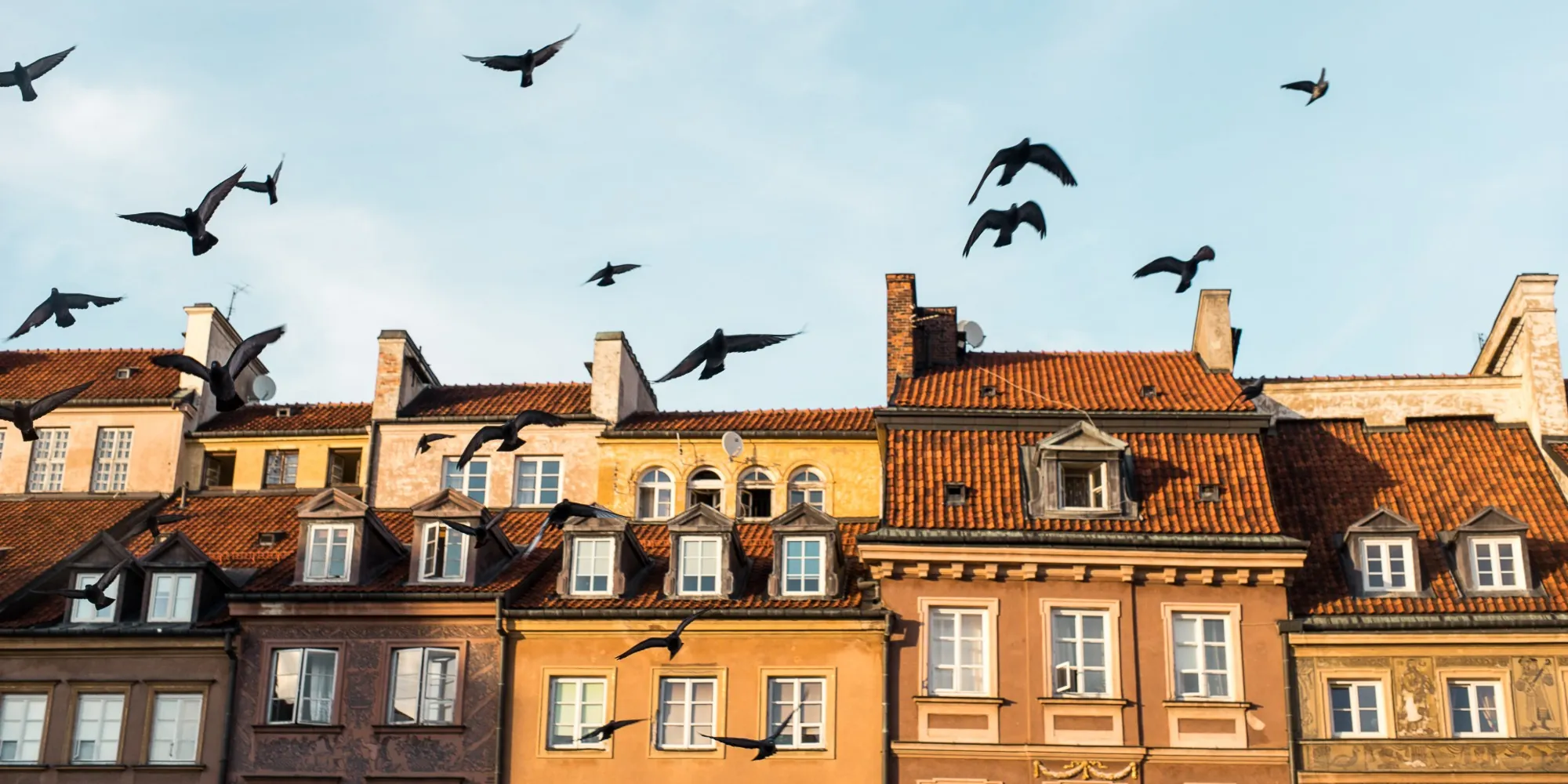 Pigeons flying over a row of colourful old-town buildings with red tile roofs, dormer windows and chimneys against a pale blue sky.