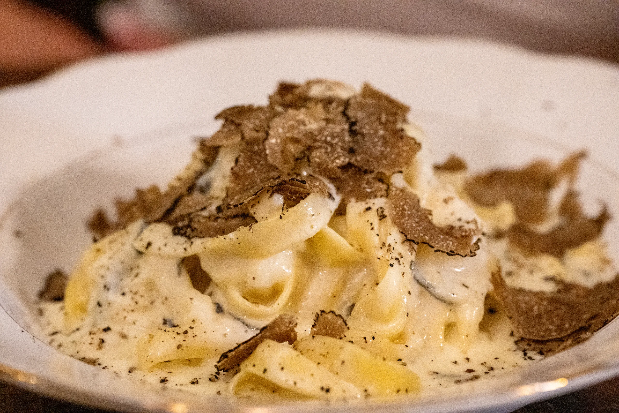 Creamy tagliatelle covered in shaved black truffle in a white bowl.