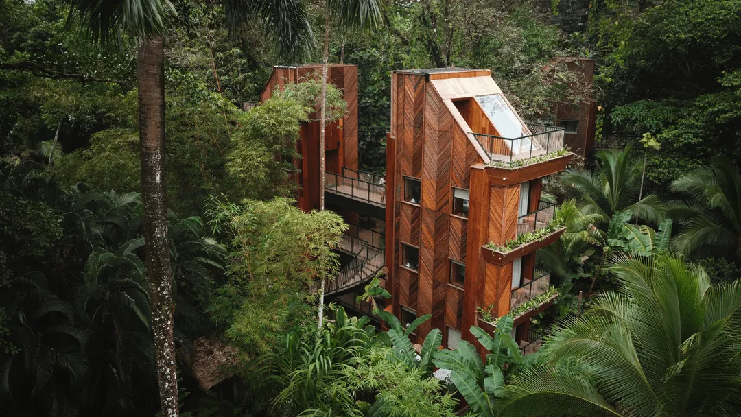 Jungle Immersion units at Palmar Beach Lodge