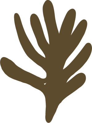 Leaf icon