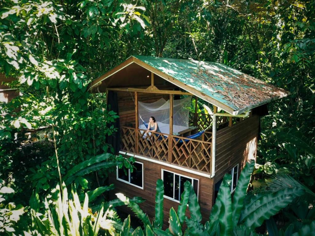Bungaló de madera elevado en la selva con techo en pico, terraza abierta y mosquitero, rodeado de vegetación tropical densa