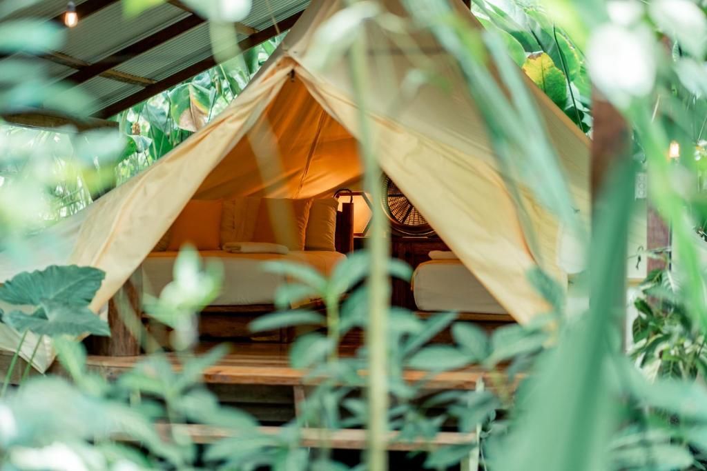 Carpa de glamping con dosel de lona crema e interior cálido color naranja, rodeada de exuberante vegetación de selva y enredaderas floridas