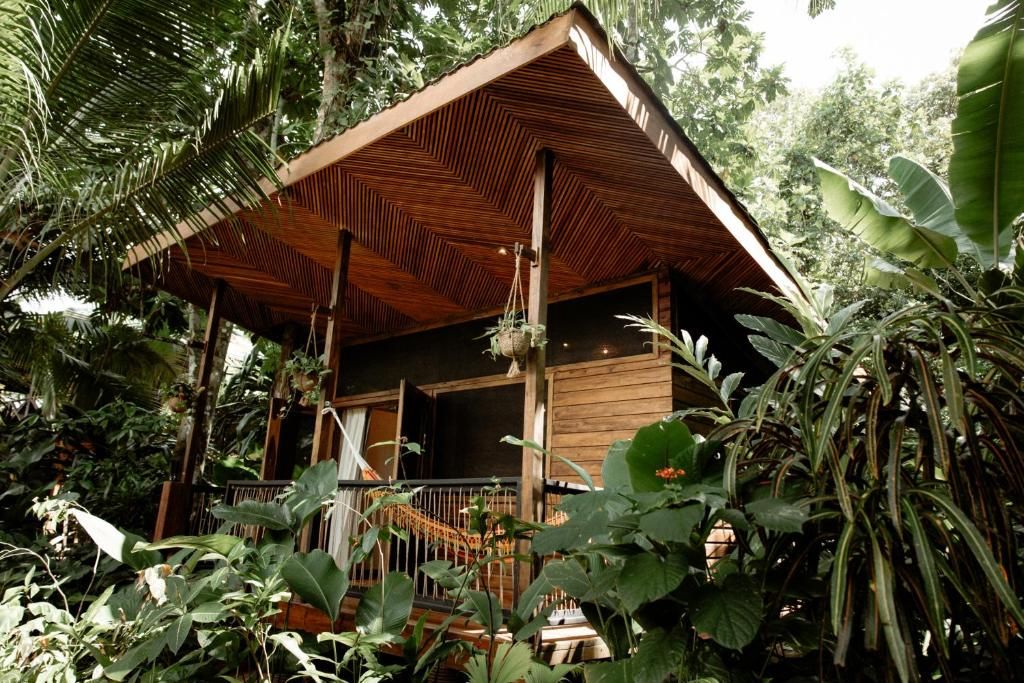 Cabaña de madera con techo acanalado en pico rodeada de densa vegetación tropical y palmeras