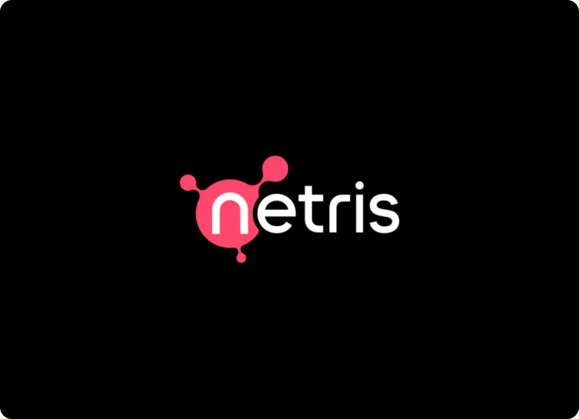 Netris logo, AI cloud networking website designed by SkyDesigner