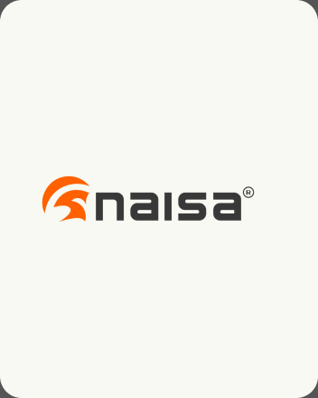 Naisa logo before redesign