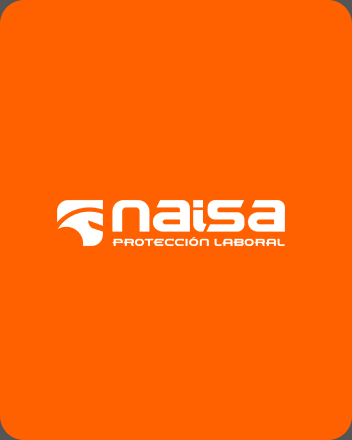 Naisa logo after redesign, clean logo mark