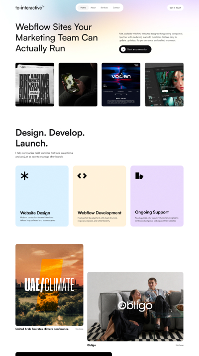 TC Interactive website after redesign by SkyDesigner