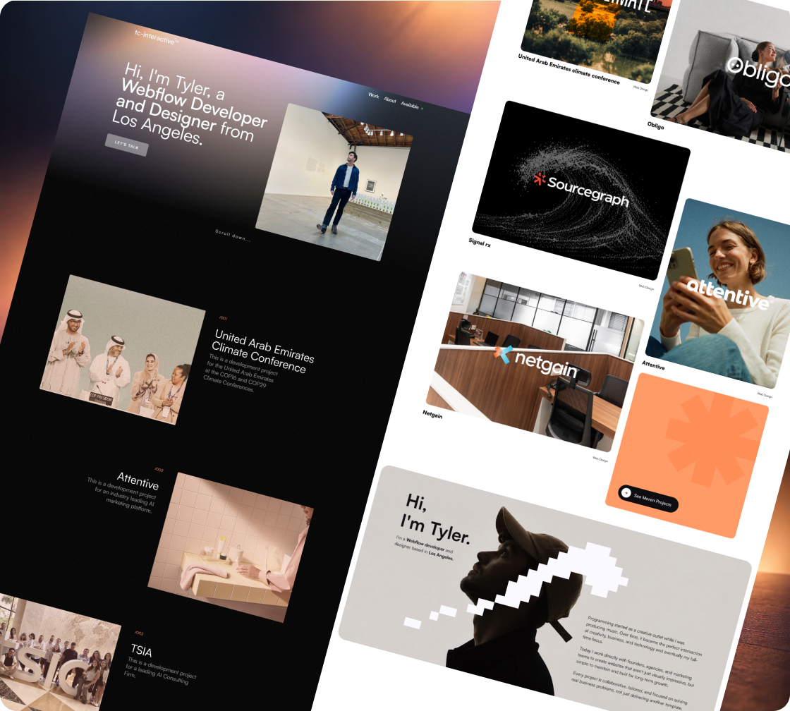 Redesigned website homepages by SkyDesigner