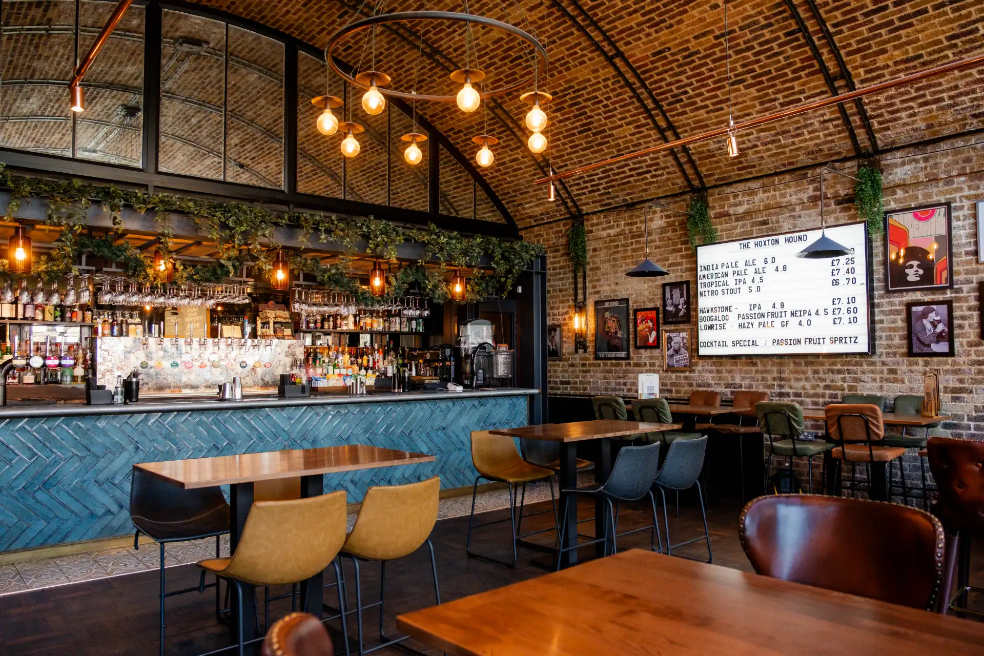 Hoxton Hound